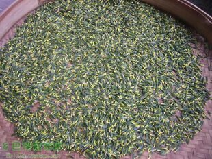 建宁莲子心250克农家莲心干货莲子芯茶去心火茶