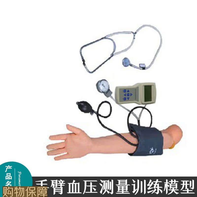 手臂血压测量训练模型 控制器带声音动态显示 成人仿真手臂