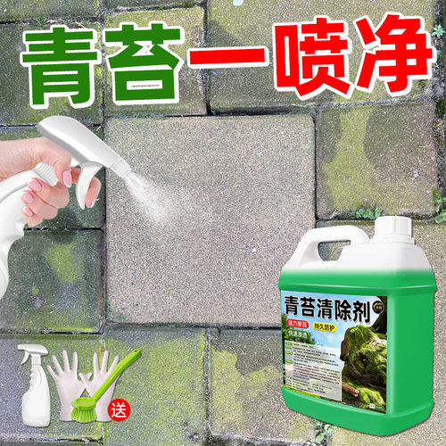 青苔清除剂水泥地去霉味神器去除
