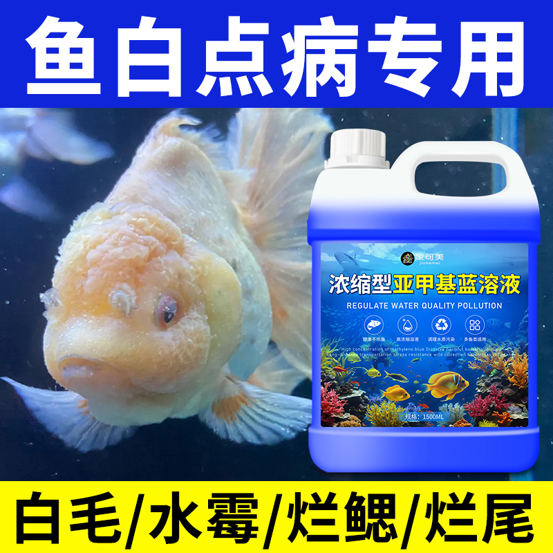 亚甲基蓝观赏鱼专用非鱼药治鱼病