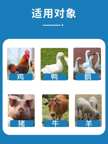 Supreme Clear Chicken Duck Gose Sounds с мокротом храпа подушек безопасности, птицеводство, кашель, открытый рот, дышать, дышать,