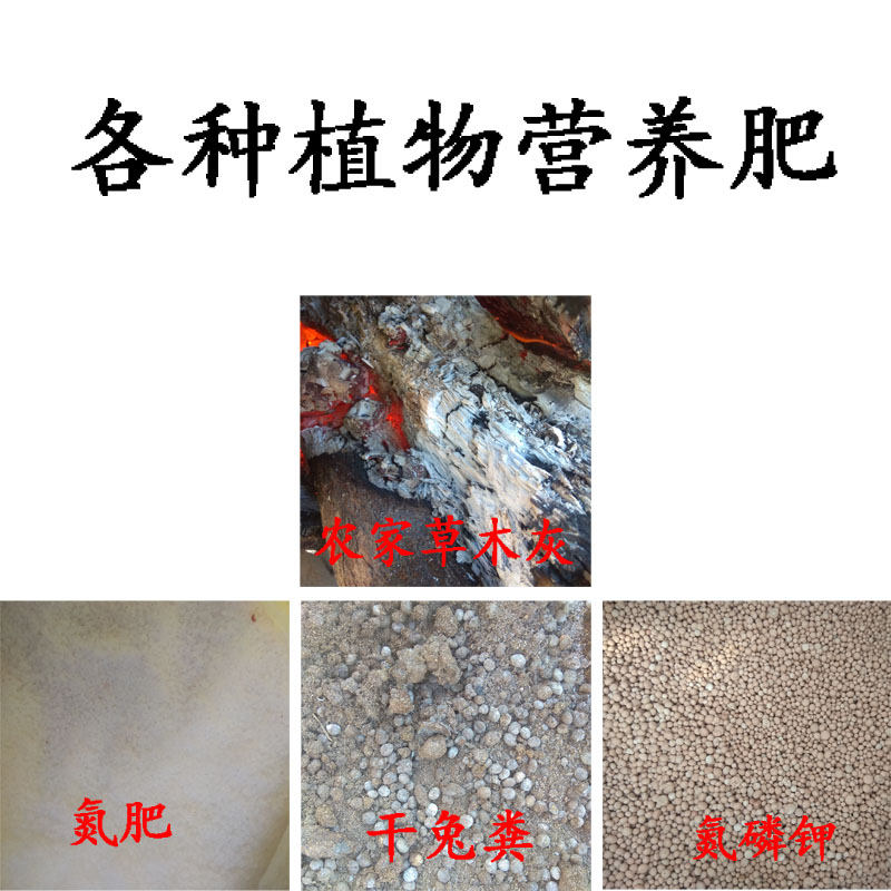 促进开会结果氮磷钾三元素肥