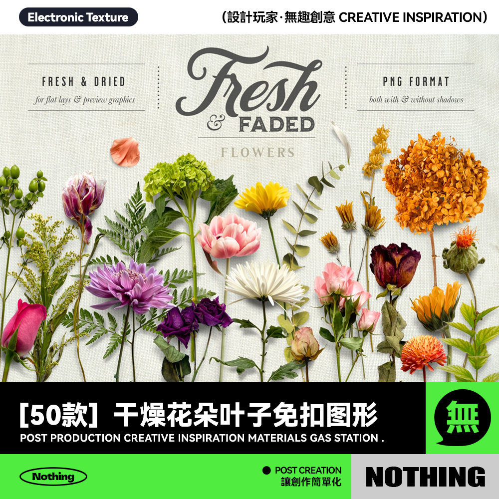 50款高清干燥玫瑰花朵叶子PNG免扣图形叠加层海报装饰PNG设计素材