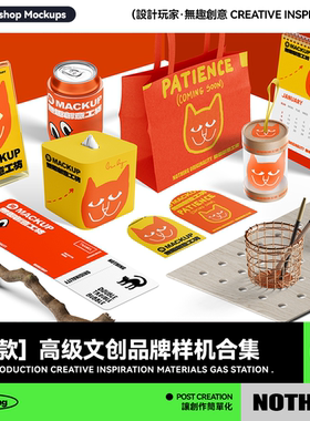 高级创意文创品牌提案样机合集贴图毕设作品PSD设计VI素材效果图