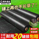 防草布除草布耐用地钉批发新型地布果树专用厂家直销庭院农用打孔