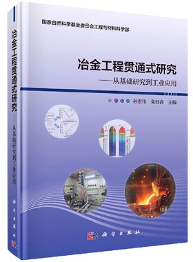 冶金工程贯通式研究--从基础研究到工业应用 孙宏伟 朱旺喜 9787030653451科学出版社