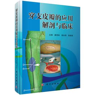 穿支皮瓣的应用解剖与临床 唐茂林 徐永清 张世民 移植术 医学