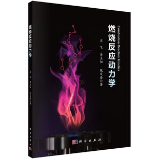 燃烧反应动力学=Combustion Reaction Kinetics 齐飞 李玉阳 苑文浩 9787030675941科学出版社