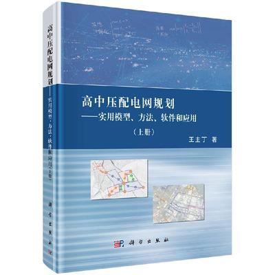 高中压配电网规划——实用模型、方法、软件和应用(上册) 9787030642844王主丁科学出版社