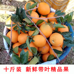 赣南信丰脐橙10斤装 新鲜当季孕妇水果十斤甜橙子大个果橙包邮