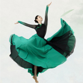 半身裙民族舞蹈服女 艺考成人长裙套装 蒙古舞蹈演出服新款 服族服装