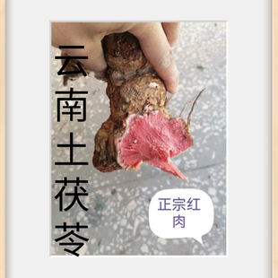 新鲜土茯苓野生茯苓药材云南煲汤料药膳现挖野生土茯苓整个