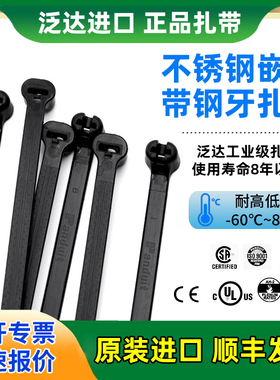 美国泛达BT4LH-TL0不锈钢船用尼龙扎带抗老化耐高温抗寒原装进口