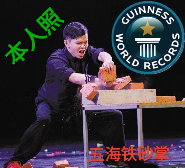 全套五海铁砂掌套餐，铁砂掌教学，铁沙袋硬气功培训函授武术练法