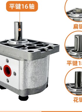 齿轮液压油泵总成CBT-F310 CBN-F304/F306/F316/E314/320/325FER2