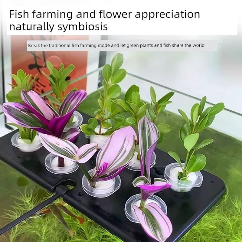 鱼缸水培种植篮壁挂式吸盘绿色植物浮板美化净化水质水生植物浮固,珠宝/钻石/翡翠,翡翠裸石/蛋面,淘宝优惠券,粉丝福利购,淘宝优惠卷