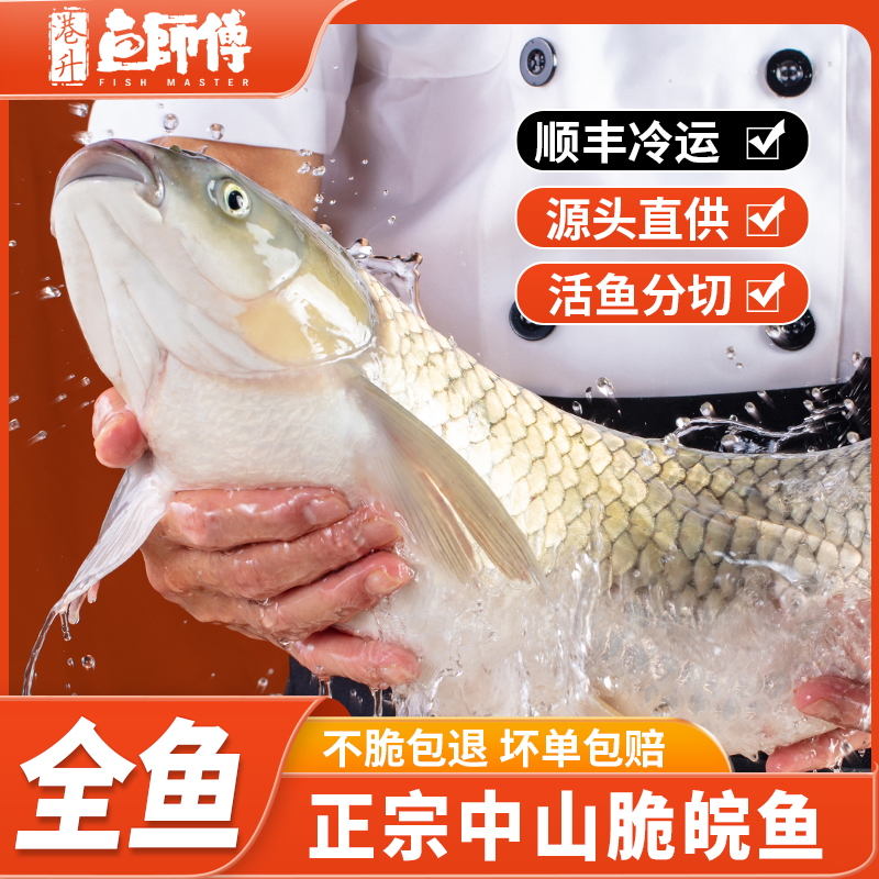 中山脆皖魚脆肉鯇魚 起骨去刺 魚肉分多袋真空包裝 順豐冷鏈發(fā)貨