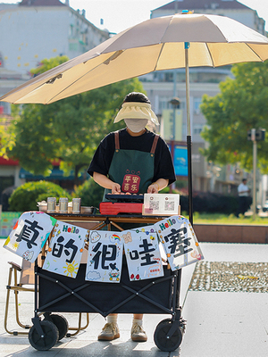 摆摊小推车展示架烤肠折叠桌神器一秒收摊小吃车夜市地摊专用