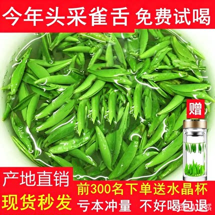 雀舌2026新茶竹叶茶青四川绿茶峨眉山明前单芽嫩芽毛尖茶500g散装