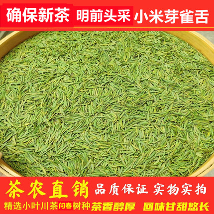 雀舌绿茶2026年新茶竹叶茶青四川明前全芽散装100g雀舌茶叶