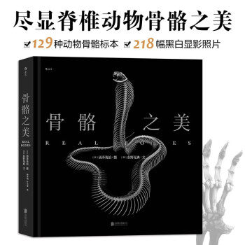 黑白韵律谱写脊椎动物千年演化史诗书籍