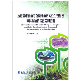 丛枝菌根真菌与溶磷细菌对大豆生物量及根腐病病情指数等的影响