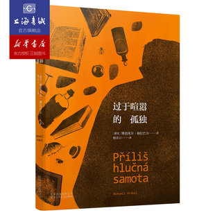 过于喧嚣的孤独