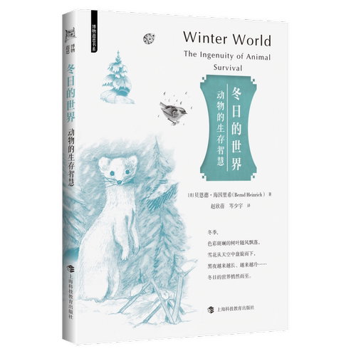 冬日的世界:动物的生存智慧