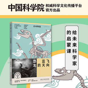 飞向蓝天 恐龙
