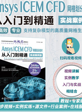 Ansys ICEM CFD网格划分技术从入门到精通(实战案例版)