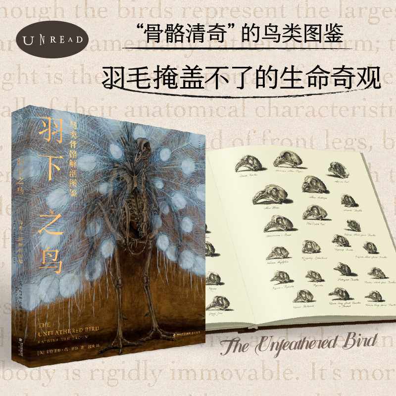 羽下之鸟:鸟类骨骼解剖图鉴