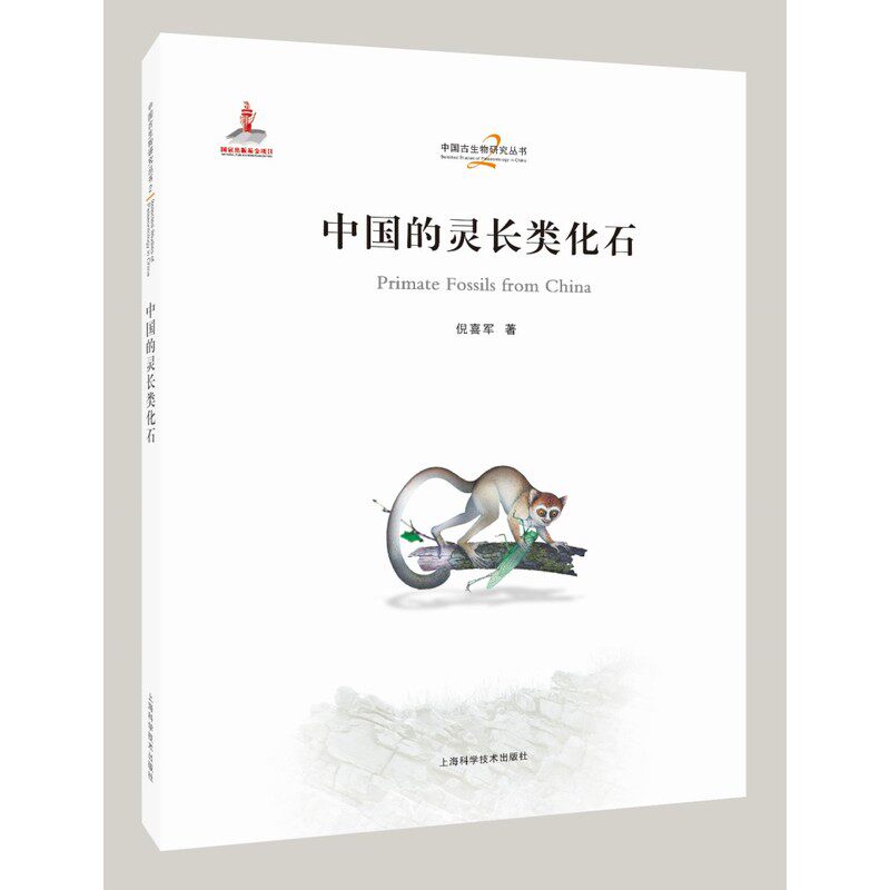中国的灵长类化石