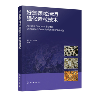 好氧颗粒污泥强化造粒技术