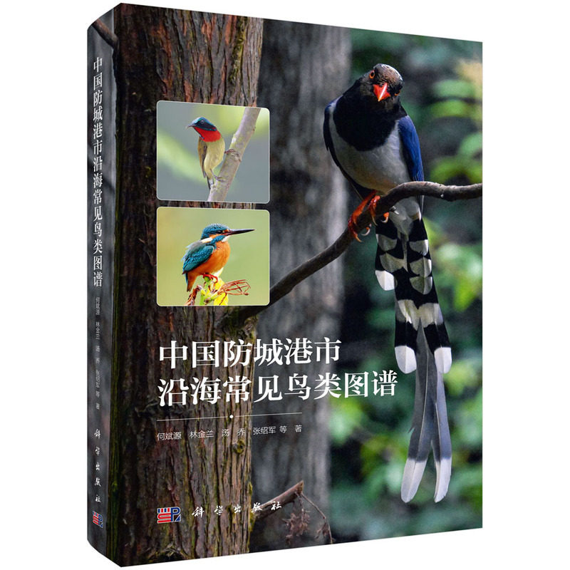 中国防城港市沿海常见鸟类图谱