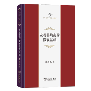宏观非均衡的微观基础
