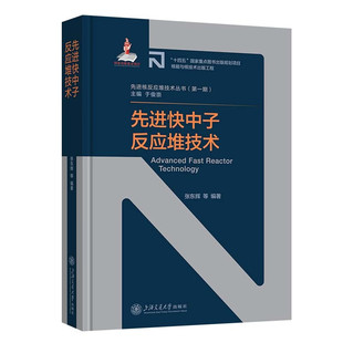 先进快中子反应堆技术