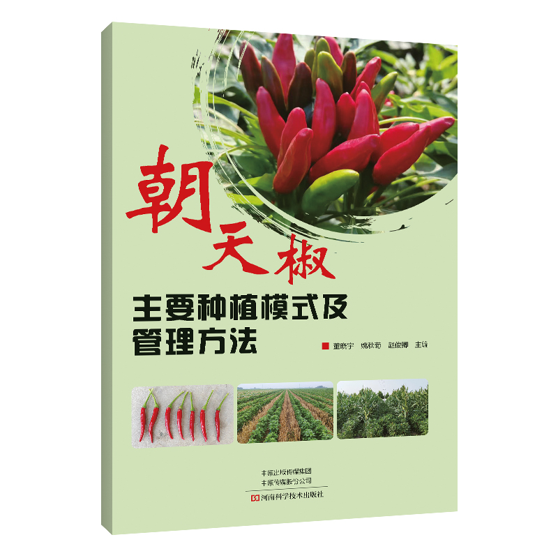 朝天椒主要种植模式及管理方法