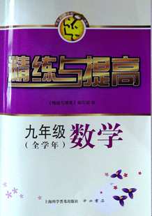 精练与提高九年级数学(全学年)