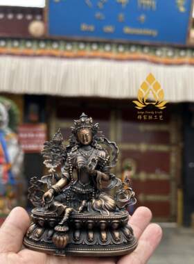 扎基S财源天母佛像密宗纯铜财神母藏传居家供奉摆件巴素达喇