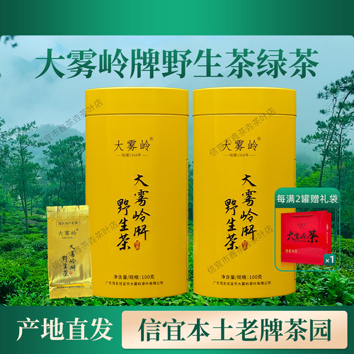 大雾岭野生茶信宜特产2025年绿茶