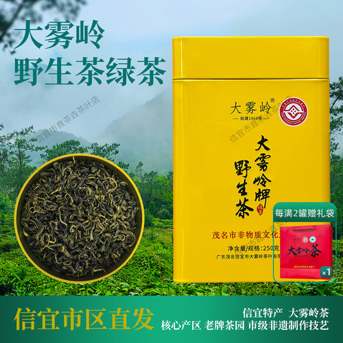 大雾岭茶信宜特产绿茶2026年新茶