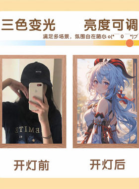 OQB原神灯光画镜子画甘雨胡桃神里绫华抖音爆款摆件氛围小夜灯甘