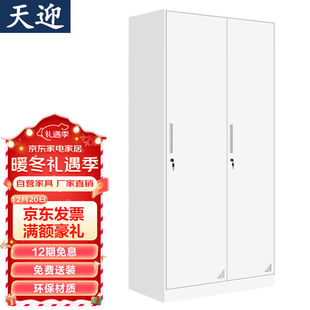 天迎更衣柜员工柜铁皮柜宿舍钢制衣柜储物柜二门TY-YG1621