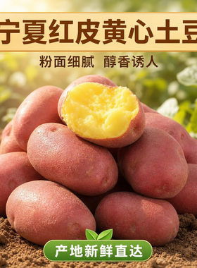 宁夏固原红皮土豆沙面粉糯