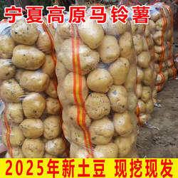 黄皮黄心土豆宁夏隆德西吉农家自种沙面粉糯固原马铃薯洋芋农产品
