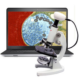 美佳朗生物显微镜儿童640倍MCL-640高倍高清生物实验课细菌细胞养
