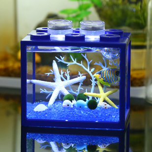 海藻球微景观生态瓶水培植物球藻diy创意鱼缸迷你桌面摆件小礼物