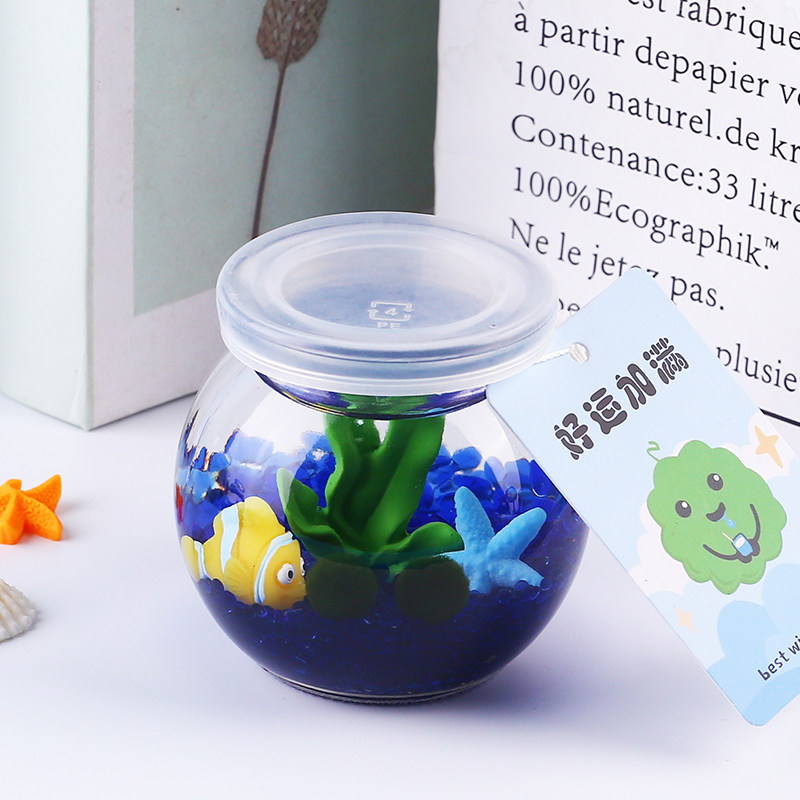 海藻球生态瓶微景观创意桌面绿植