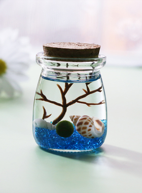 marimo海藻球生态瓶微景观摆件桌面教师节礼物水生植物盆栽水藻球