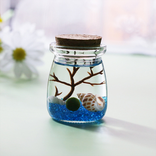 marimo海藻球生态瓶微景观摆件桌面教师节礼物水生植物盆栽水藻球